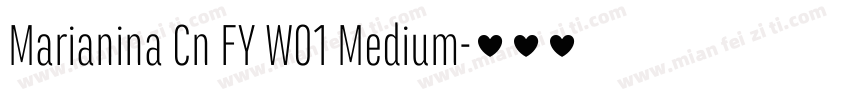 Marianina Cn FY W01 Medium字体转换